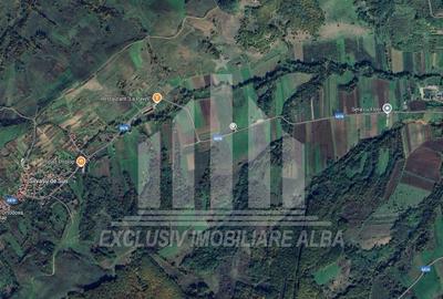 Teren Construcții extravilan de 5800 mp, în Periferie - 4