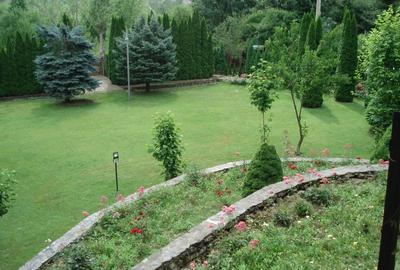 Casă cu 15 camere cu Canalizare în Plaiu Câmpinei - 29