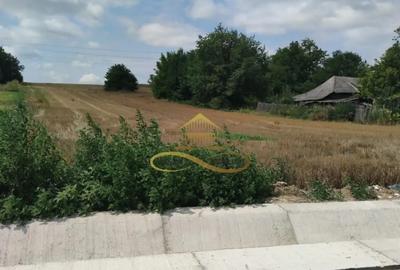 Teren de 5400 mp, în Filipești - 1