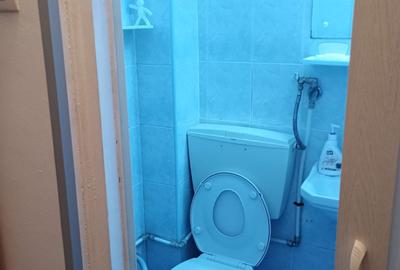 Inchiriere-gars-cf 2-semidecomandata-1/10-Dr Taberei-Plaza-mobilat/utilat-250E - 6