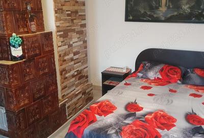 Casă cu 5 camere cu Teren 1500 Mp în Spiru Haret - 8