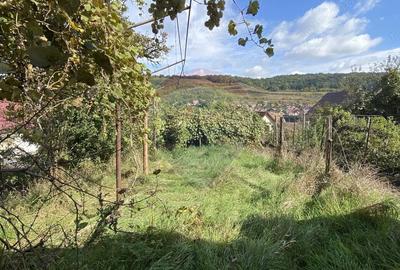 Casă cu 3 camere cu Teren 602 Mp în Vest - 4