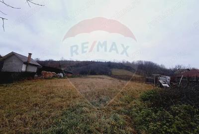 Casă cu 2 camere cu Teren 2443 Mp în Hidiș - 2