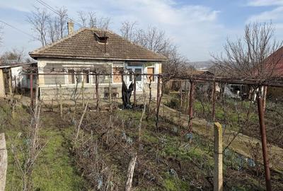 Casă cu 3 camere în Central - 5