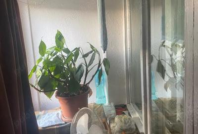 Garsonieră decomandată în Central - 3