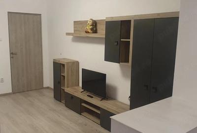 Apartament cu 2 camere decomandat în Griviței - 4