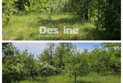 Tomesti-Chicerea, teren intravilan  3523 mp - 5