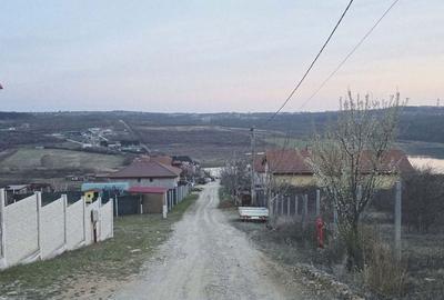 Spațiu comercial, în Paleu - 4