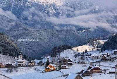 Teren Intravilan Fundata 1421Mp - 1