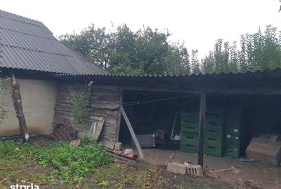 Casă cu Teren 1800 Mp în Vadu Moldovei - 14