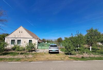 Casă cu 1 camere cu Teren 2676 Mp în Vălcani - 5