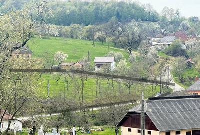 Teren de 4057 mp, în Copalnic - 2