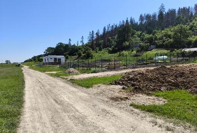 Teren Construcții intravilan de 2000 mp, în Cristian - 8