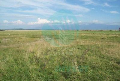 Teren Construcții intravilan de 14000 mp, în Ampoi 2 - 2