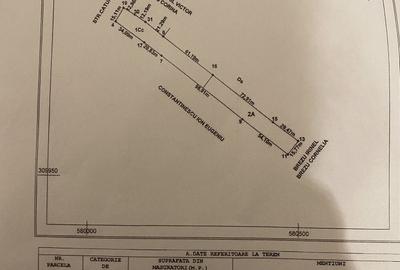Teren Construcții intravilan de 4200 mp, în Adunații-Copăceni - 1
