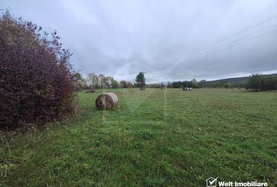 Teren Construcții intravilan de 3212 mp, în Pădureni (Chinteni) - 1