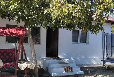 Casă cu 4 camere cu Teren 10000 Mp în Munteni - 8