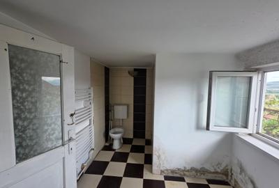 Casă cu 3 camere cu Canalizare în Viile Noi - 6