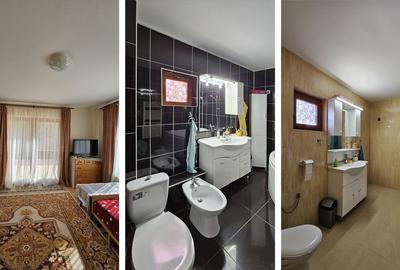 Comuna Budeasa Mare, Arges - 10