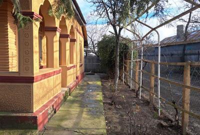 Casă cu 4 camere cu Teren 4870 Mp în Viziru - 4