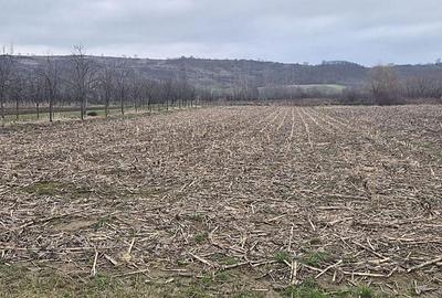Casă cu 2 camere în Bogei - 7