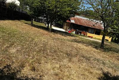 Propietar vand Casa Vadu Anei Branesti 1480 m2 , Gaze , Curent , Put , fosa centrala - 4