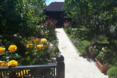 Casă cu 7 camere cu Teren 324 Mp în Central - 3