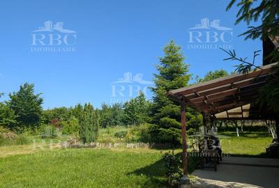 Teren pentru constructie casa in Faget - 1