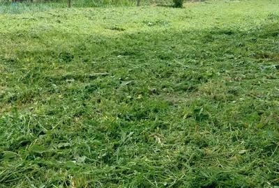 Teren de 1000 mp, în Iezureni - 5