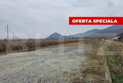 Teren de 2600 mp, în Șoimuș - 3