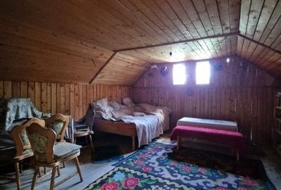 Balilesti - Stradal, casa spatioasa, 4600 mp teren intravilan - curte spatioasa - 10