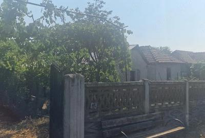 Casă cu Teren 2000 Mp în Izimșa - 4