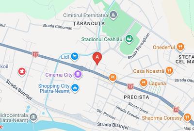 Apartament cu 3 camere decomandat, mobilat în Precista - 17