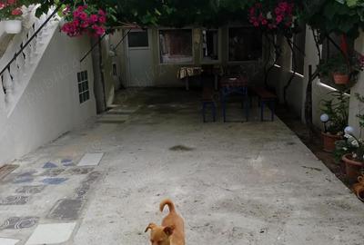 Cazare muncitori sau ospatari pe perioada nedeterminata - 3