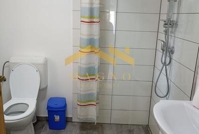 CASA NOU RENOVATA DE VANZARE IN BUJAC - 9