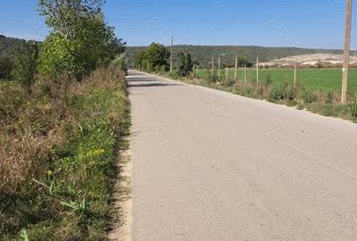 Teren de 7550 mp, în Boldești - 3