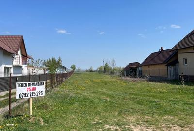 Spațiu comercial, în Ipotești - 3