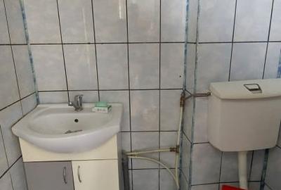 Apartament la casa si curte zona Centrala - 10