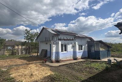 Casă individuală cu 3 camere cu Canalizare în Petru Rareș - 5