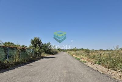 Teren Construcții intravilan de 10000 mp, în Nord - 13