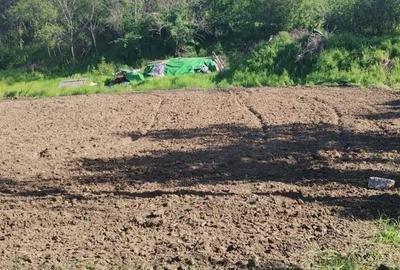 Teren de 1500 mp, în Stoenești - 4