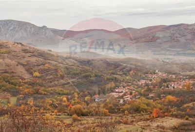 Casă cu 2 camere cu Teren 1884 Mp în Izvoarele (Livezile) - 11