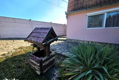 Casă cu 5 camere cu Teren 3316 Mp în Oșorhei - 17