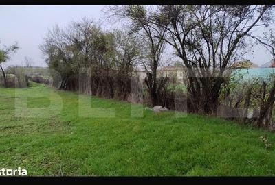 Teren de 3000 mp, în Conțești - 3