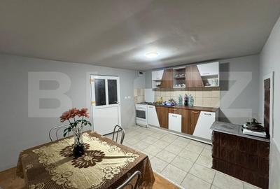 Casa cu 4 camere, 117 mp, teren generos de 5594 mp, in Criscior - 2