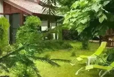 Casă cu 7 camere cu Teren 300 Mp în Lepșa - 7