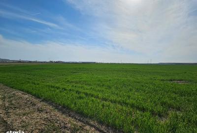 Spațiu comercial, în Afumați - 6