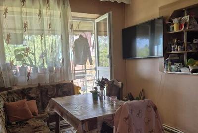 Baia Sprie, casa cu etaj ,10 ari teren - 1