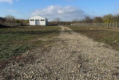 Teren de 5200 mp, în Bereasca - 4