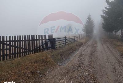 Spațiu comercial, în Cozănești - 8